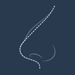 A hump in the nasal bridge